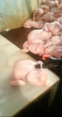 Plumping That Poultry: Supermarket Giving These Chickens That Injection Treatment!
