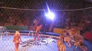 Lions attacking trainers. Maybe circus trainers shouldn’t beat and starve wild animals into obedience.