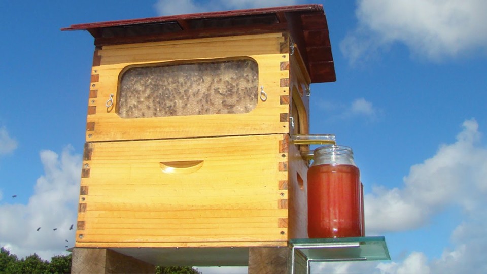 New Invention – Flow: Honey on Tap Directly From your Beehive