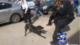 NYPD Officer Shoots At A Dog In A Crowd Of People!
