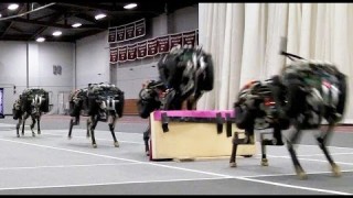 MIT cheetah robot jumps over obstacles while running