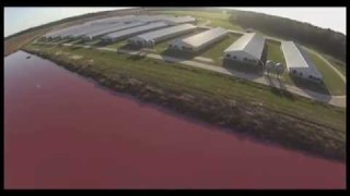 Factory Farms Exposed