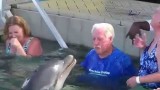 Dolphin spits at man, man spits back