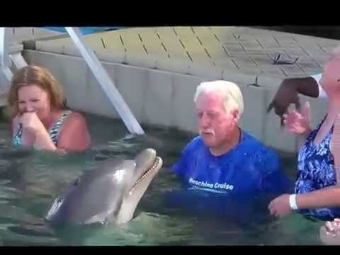 Dolphin spits at man, man spits back